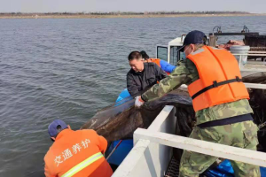 “保护母亲河”青岛莱西市在行动